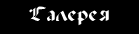 Галерея - картинки разных авторов